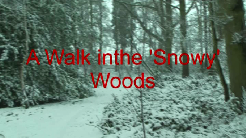 Walk in the 'Snowy' Woods