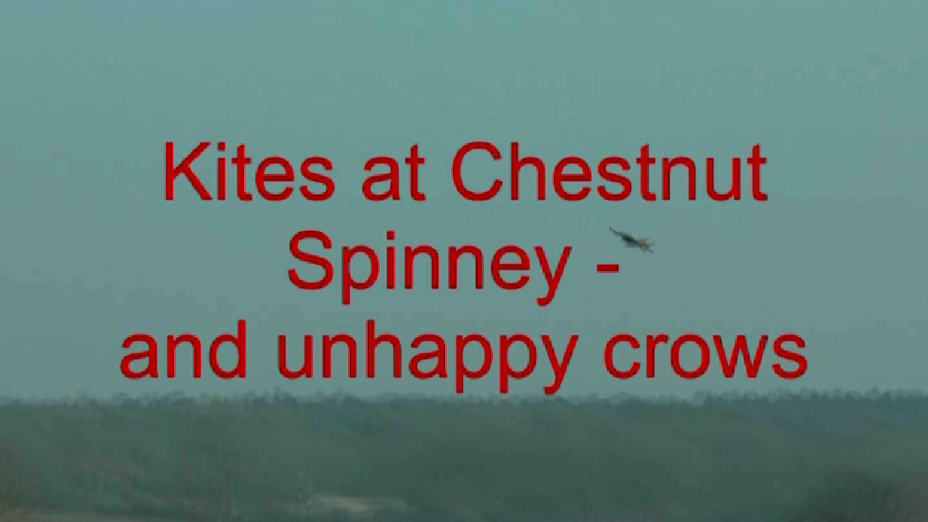 Kites at Chestnut Spinney House